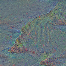 n09399592